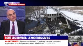 Les réfugiés ukrainiens en Europe sont intégrés dans un "dispositif de protection temporaire", explique Didier Leschi