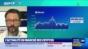 Edito crypto : L'actualité du marché des cryptos - 20/06