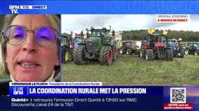 Véronique Le Floch (Coordination rurale): "On veut des promesses et des engagements de la part du gouvernement"