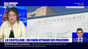 La Castellane: un chien attaque des policiers, six blessés