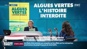 Algues vertes: "Sur la plage, elles dégagent de l'hydrogène sulfuré qui peut tuer en quelques minutes" 