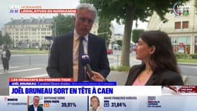 Législatives: arrivé en tête, le maire de Caen se dit "heureux d'avoir pu limiter cette montée des antagonismes"
