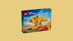 Ce LEGO Disney est sûrement la meilleure idée de cadeau pour cette fin d'année chez AliExpress