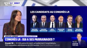 Congrès Les Républicains: qui a ses parrainages ? 