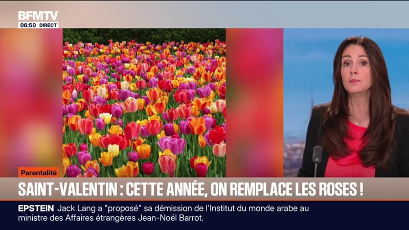 Saint-Valentin: quelles sont les fleurs qui peuvent remplacer les roses?