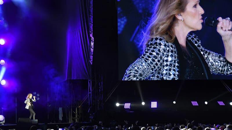 Céline Dion en concert à Bordeaux, le 29 juin 2017. 