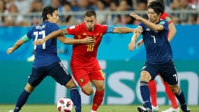 Hazard à la lutte