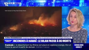 Incendies à Hawaï : le bilan passe à 80 morts