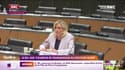 Le RN, une "courroie de transmission du discours russe" 