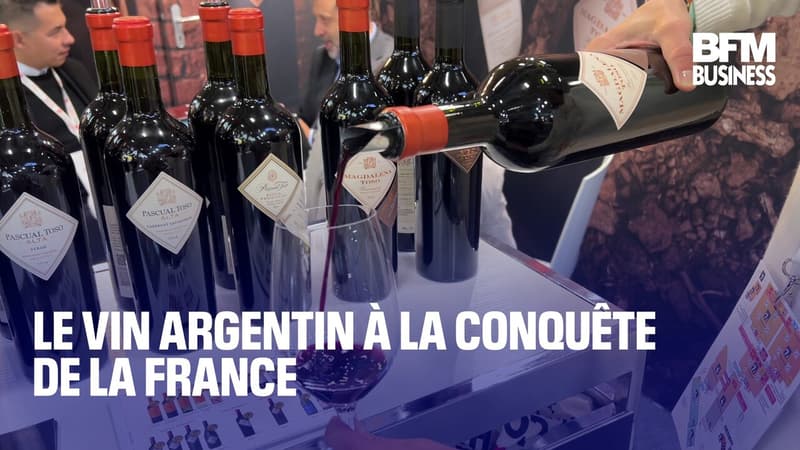 le vin argentin à la conquête de la France