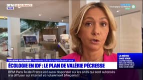 Région Île-de-France: 1 milliard d'euros pour adapter le territoire aux enjeux du réchauffement climatique