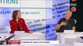 Le pronom "iel" dans Le Petit Robert - 17/11