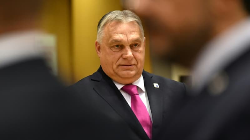 Otan: le veto turc levé, la Suède invitée par Viktor Orban à discuter en Hongrie