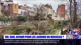 Paris: quel avenir pour les Jardins du Ruisseau du 18e arrondissement?