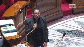 La députée Renaissance Fadila Khattabi accuse la Nupes de faire "avaler des anacondas" aux Français