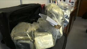 En 2017, 17 tonnes de cocaïne ont été saisies en France, un record