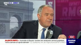 Bien être animal: "Ceux qui abandonnent un animal devront être punis par la loi"