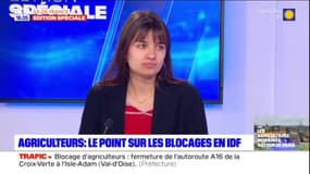 Agriculteurs en colère: le point sur les blocages en Île-de-France