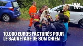  En Suisse, les pompiers lui facturent 10.000 euros pour sauver son chien 