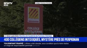 Collégiens intoxiqués: "On va s'adapter à l'accueil des enfants le matin", explique Anne-Laure Arino, directrice de l'académie des Pyrénées-Orientales
