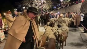 Allauch: 150 moutons et chèvres participent à la descente des bergers pour Noël