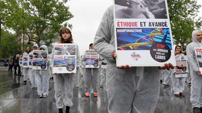 Des militants protestent contre l'expérimentation animale dans la recherche scientifique, le 26 avril 2014. 