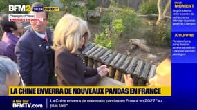 Chine: Brigitte Macron visite le Centre de recherche sur l'élevage du panda géant de Chengdu