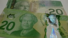 Les nouveaux billets canadiens en polymère ont été mis en circulation en 2011. Depuis, le pays s'interroge sur leur odeur.