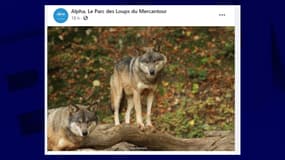 Le Parc Alpha rouvre ce mercredi 14 juillet.