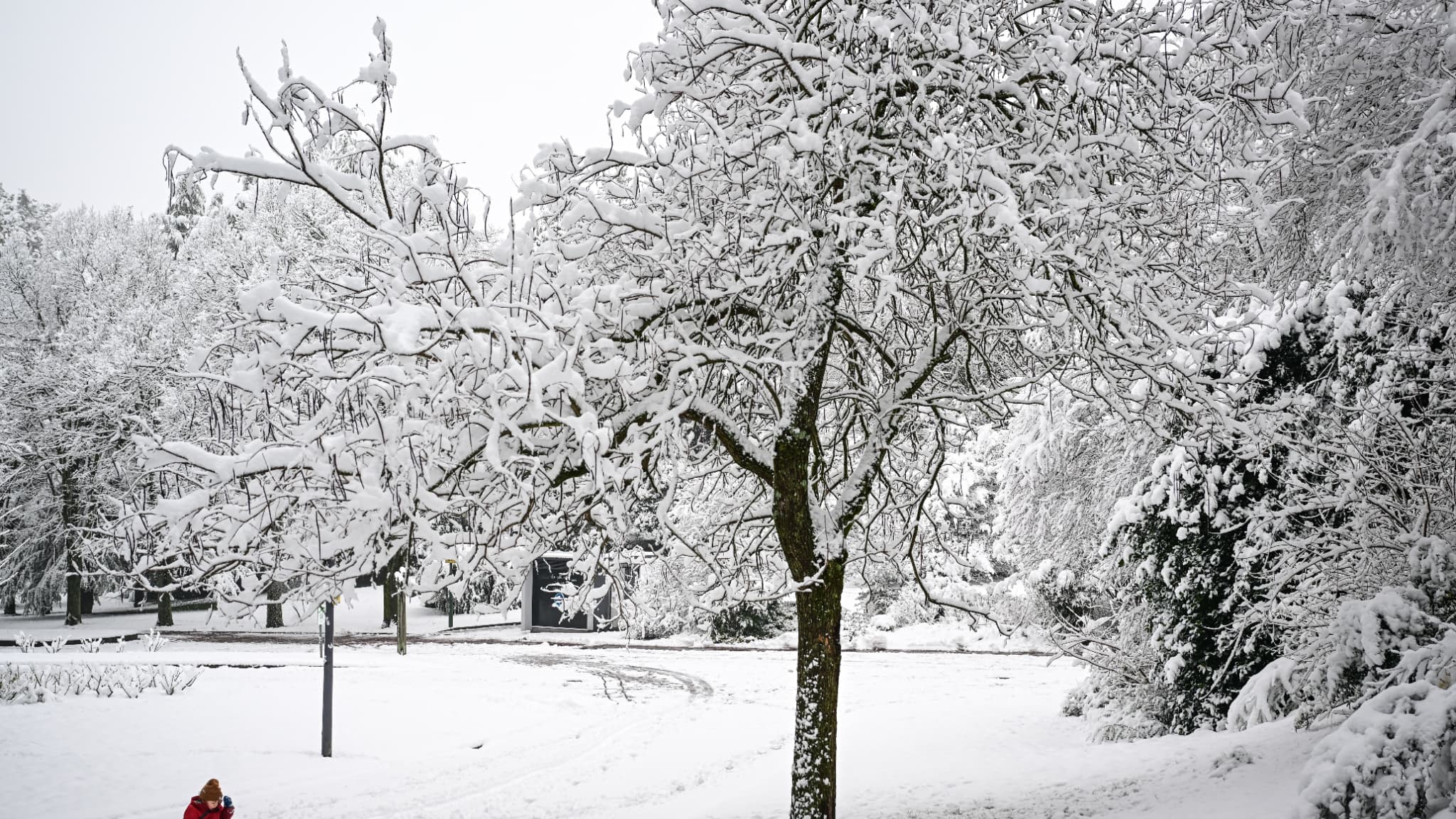 Un enfant jouant dans la neige à Saint-Etienne samedi 15 mars 2025