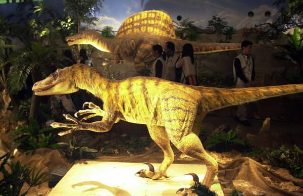 La reproduction d'un vélociraptor au musée national des sciences de Taïwan.