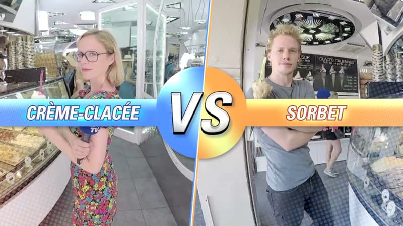 Sorbet ou crème glacée, vous choisissez!