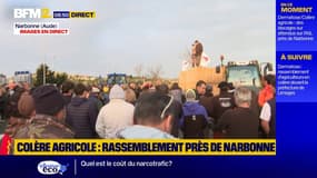 "Se rappeler de 2025 comme l'année de la révolte" : les agriculteurs toujours mobilisés dans le Sud