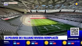 Nice: la pelouse du stade Allianz Riviera va être remplacée