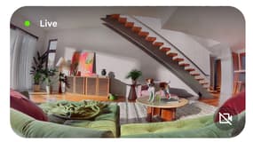 Gemini for Home va remplacer Google Assistant