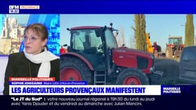 Colère des agriculteurs: Sophie Joissains, maire d'Aix-en-Provence, indique "comprendre" les mouvements