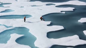 Chaque semaine répondez à notre sondage sur la transition énergétique.