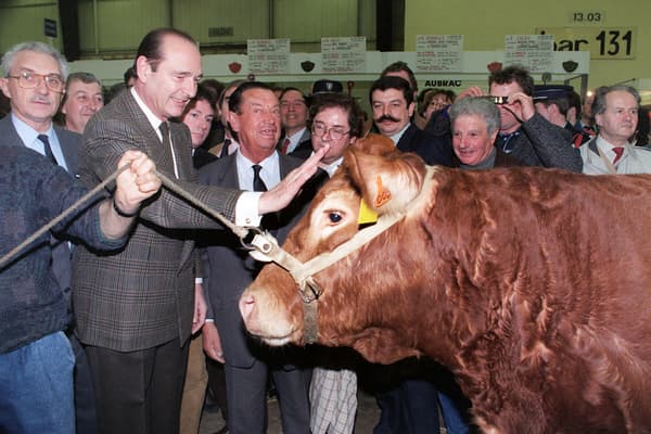 Le maire de Paris, Jacques Chirac, caresse une vache lors de sa visite au Salon international de l'agriculture, le 7 mars 1990.