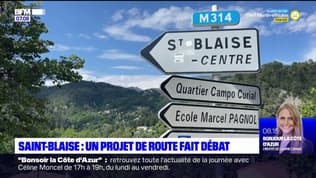 Alpes-Maritimes: un projet de route reliant un hameau au village de Saint-Blaise fait débat