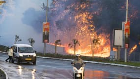 50.000 personnes ont été évacuées de la ville d'Haïfa, en Israël, à cause de feux de végétation. 