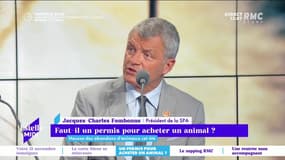 Faut-il un permis pour acheter un animal ? - 08/09