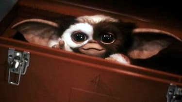 "Gremlins", réalisé par Joe Dante, est sorti en 1984