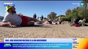 Var : une douceur record à la mi-novembre 