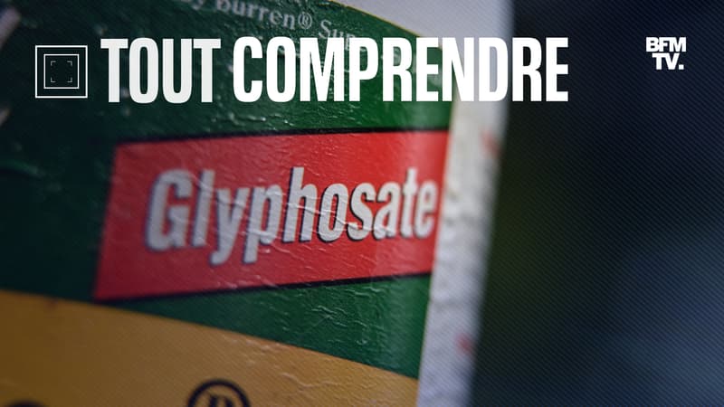TOUT COMPRENDRE - Pourquoi l'UE propose de prolonger l'utilisation du glyphosate, un herbicide controversé