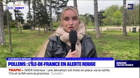 Pollens: l'Ile-de-France en alerte rouge