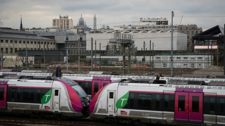 Des TER arrivant à la gare de l'Est à Paris, le 20 mars 2019