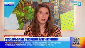 L'invitée de Bonjour Alsace du vendredi 31 octobre 2025 - Sarah Pennequin