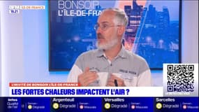 Ile-de-France: selon Valéry Masson, chercheur à Météo-France, revégétaliser la ville est l'une des solutions pour éviter de suffoquer lors des périodes de chaleur dans ces zones