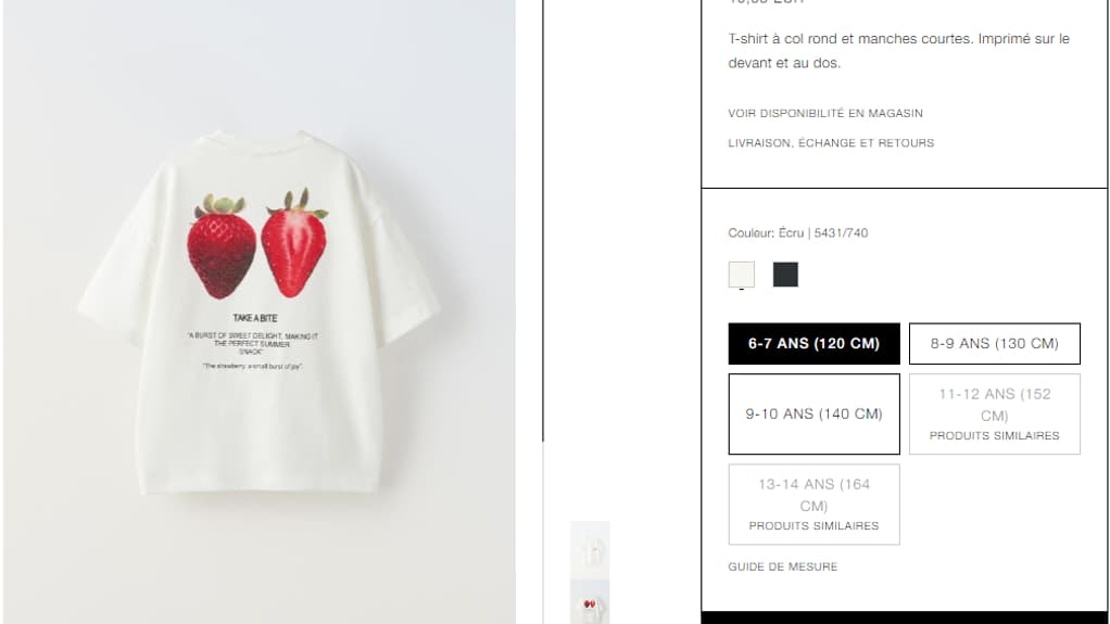 Le t-shirt à imprimé "The perfect snack" vendu par Zara, vendu sur le site de e-commerce français.