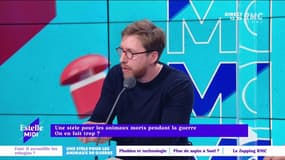 Pierre Rondeau : "Ça ne me choque pas et ce n'est pas ridicule de leur rendre hommage. Mais allons plus loin et honorons aussi leurs éleveurs"